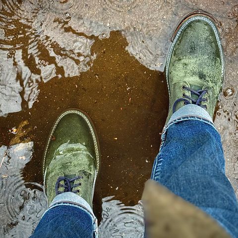 Parkhurst The Allen in C.F. Stead Spruce Kudu