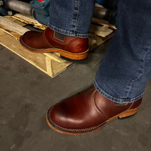 Nicks Heritage Chelsea in Seidel Brown Double Shot