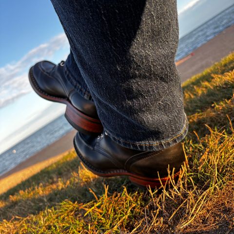 Nicks MTO in Horween Black Chromexcel