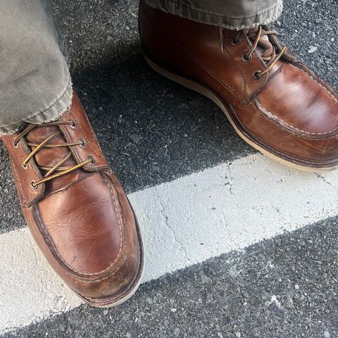 Red Wing 10877 in S.B. Foot Oro Harness