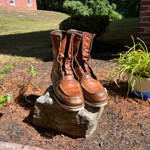 Red Wing 10877 in S.B. Foot Oro Harness