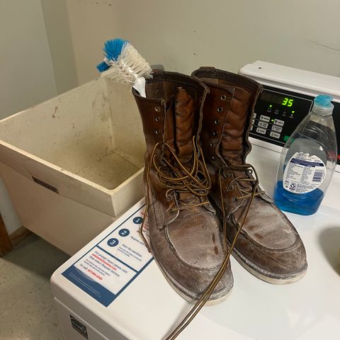 Red Wing 10877 in S.B. Foot Oro Harness