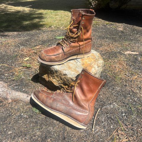 Red Wing 10877 in S.B. Foot Oro Harness