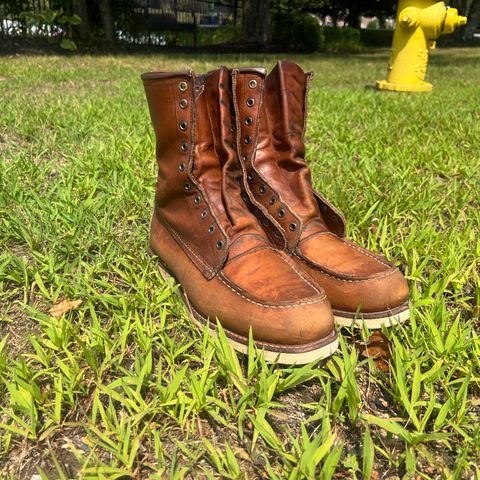 Red Wing 10877 in S.B. Foot Oro Harness