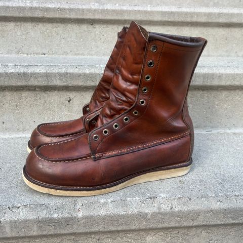 Red Wing 10877 in S.B. Foot Oro Harness