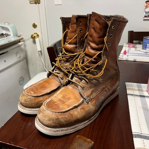 Red Wing 10877 in S.B. Foot Oro Harness