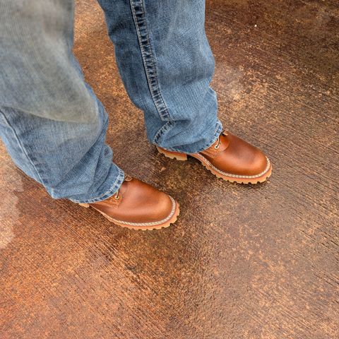 Nicks Urban Logger in Ember Waxed Flesh