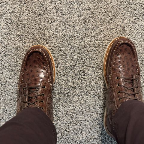Grant Stone Field Boot in Kango Tobacco Ostrich