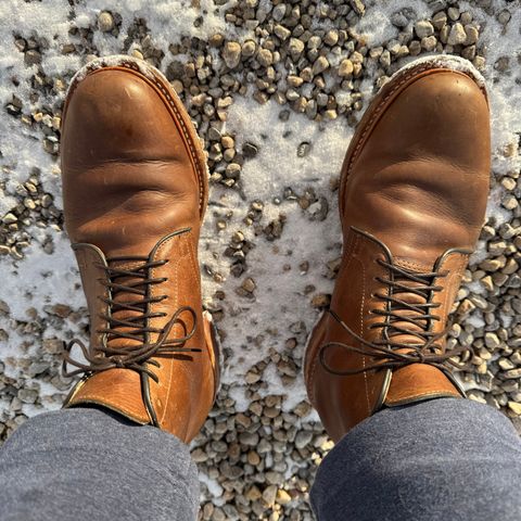 View photo of Viberg Service Boot in Camel Oiled Calf