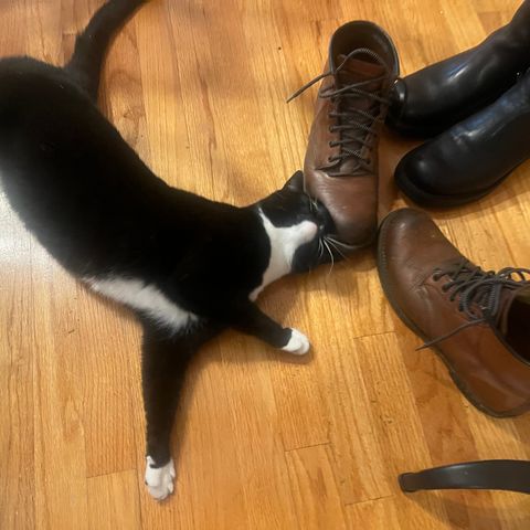 Red Wing Beckman in S.B. Foot Cigar Featherstone
