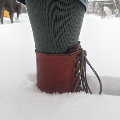 Frank's Front Range in Wickett & Craig Chestnut English Bridle