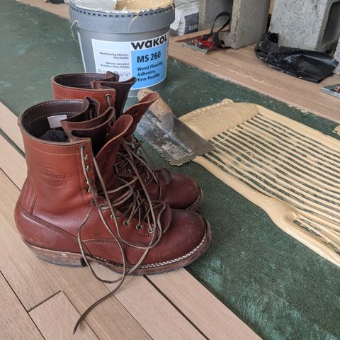 Frank's Front Range in Wickett & Craig Chestnut English Bridle