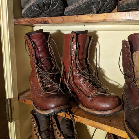 Frank's Front Range in Wickett & Craig Chestnut English Bridle