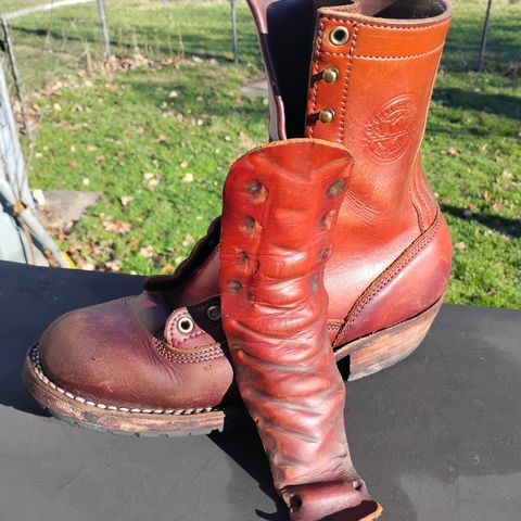 Frank's Front Range in Wickett & Craig Chestnut English Bridle