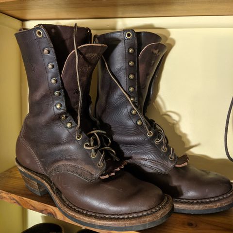 Search result thumbnail of White's Packer in Seidel Brown Oil Tan