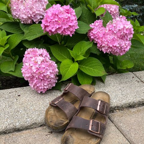 Birkenstock Arizona in Habana Oiled Leather