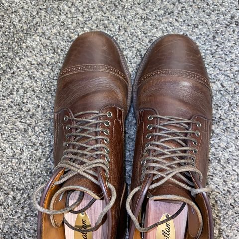 Viberg Service Boot in Shinki Color 4 Horsebutt