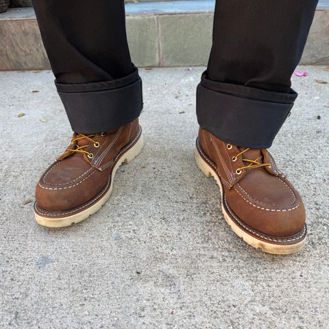 Thorogood American Heritage 8" Moc Toe in Seidel Trail Crazy Horse