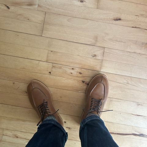 Jakkrabbits Derby Shoes in Tochigi Jeans #5 Khaki