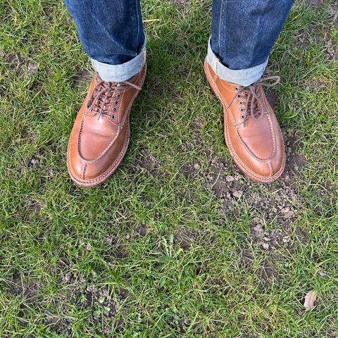 Jakkrabbits Derby Shoes in Tochigi Jeans #5 Khaki