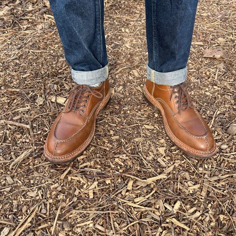 Jakkrabbits Derby Shoes in Tochigi Jeans #5 Khaki