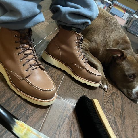 Red Wing 6-Inch Classic Moc in Mocha Oro-iginal