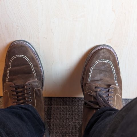 Alden Indy Boot in Snuff Suede