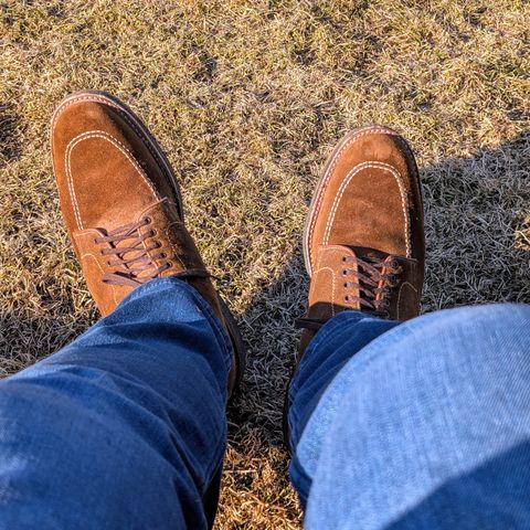 Alden Indy Boot in Snuff Suede