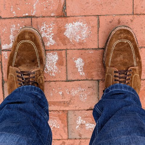 Alden Indy Boot in Snuff Suede