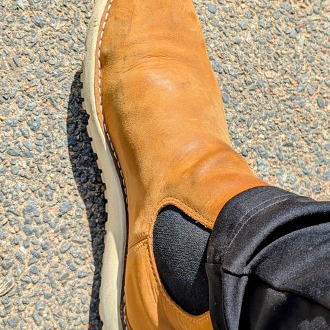Danner Tramline Chelsea 917 GTX in Danner / Roasted Pecan