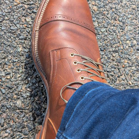 Viberg Service Boot BCT in C.F. Stead Whisky Regency Calf