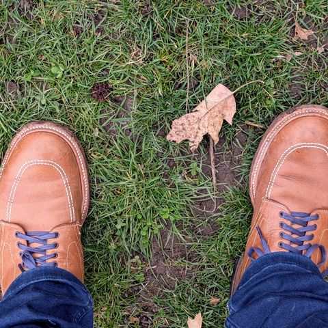 Alden Indy Boot in Horween Natural Chromexcel
