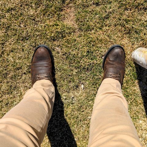 Viberg Scout Boot in C.F. Stead Snuff Waxy Commander Suede