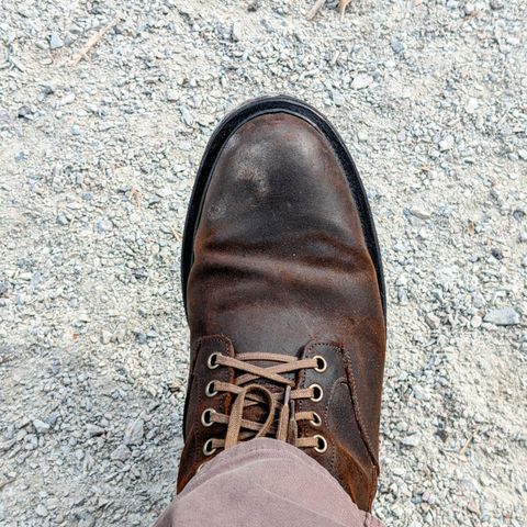 Viberg Scout Boot in C.F. Stead Snuff Waxy Commander Suede