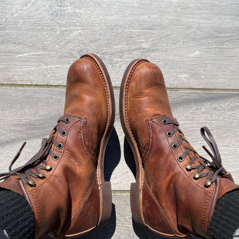 Search result thumbnail of Red Wing Blacksmith in S.B. Foot Copper Rough and Tough