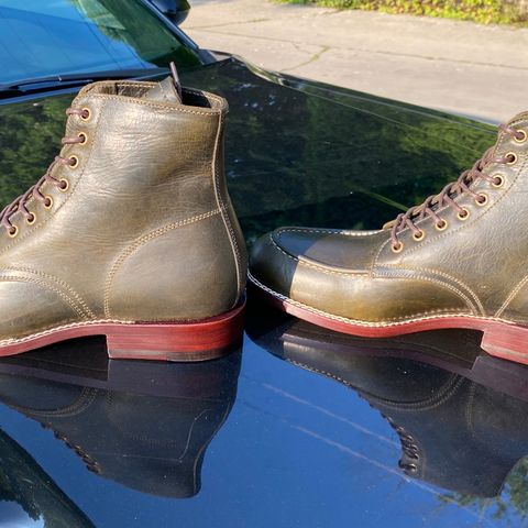 Caswell Danville in Gallun Olive Teton Stag