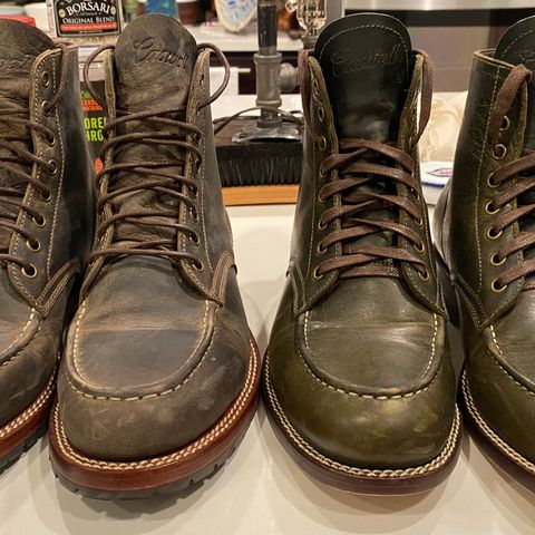 Caswell Danville in Gallun Olive Teton Stag