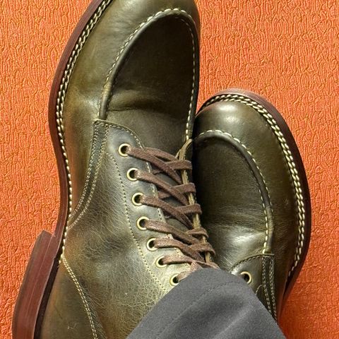 Caswell Danville in Gallun Olive Teton Stag
