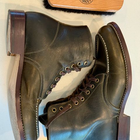 Caswell Danville in Gallun Olive Teton Stag