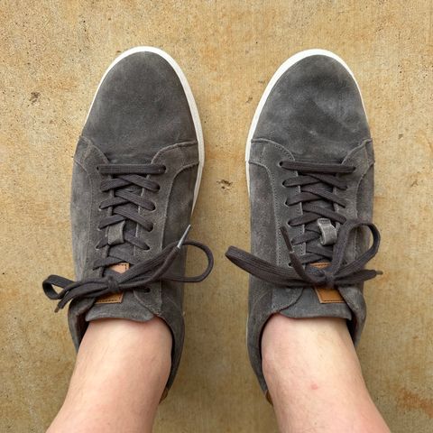 Allen Edmonds Courtside Sneaker in C.F. Stead Grey Suede