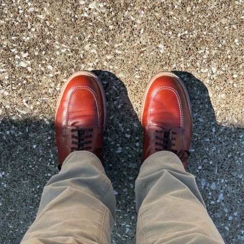 Alden Indy 405 in Alden Horween Calf Skin