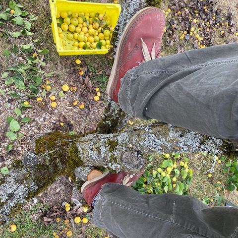Duckfeet Jylland in Granate Terracare