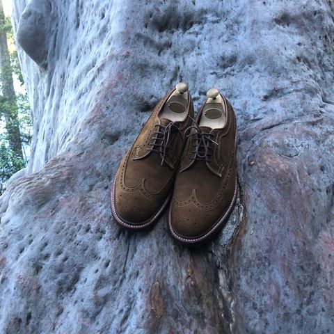 View photo of Alden Long Wing Blucher in C.F. Stead Snuff Janus Calf Suede