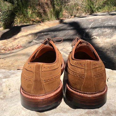Alden Long Wing Blucher in C.F. Stead Snuff Janus Calf Suede