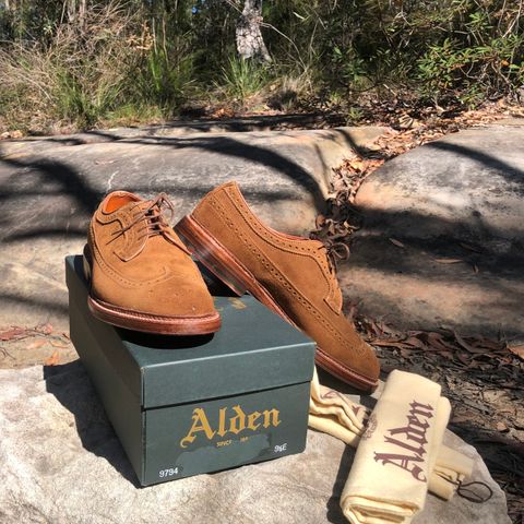 Alden Long Wing Blucher in C.F. Stead Snuff Janus Calf Suede