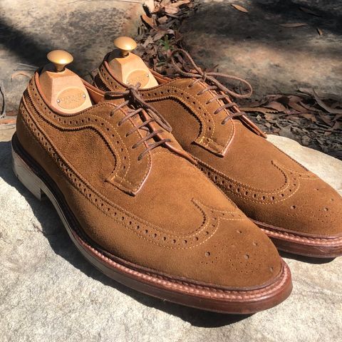 View photo of Alden Long Wing Blucher in C.F. Stead Snuff Janus Calf Suede