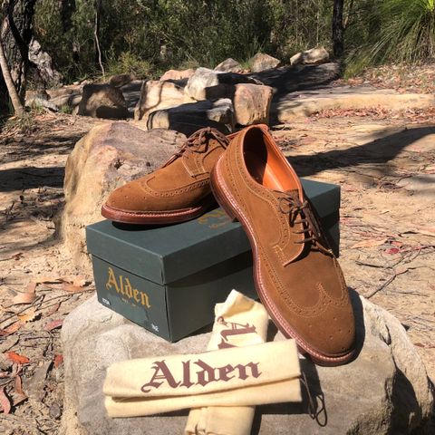 Alden Long Wing Blucher in C.F. Stead Snuff Janus Calf Suede