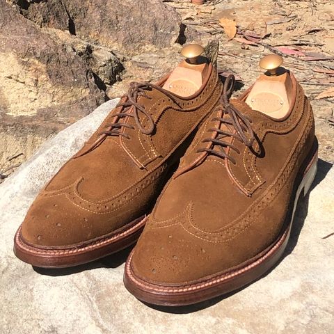 Alden Long Wing Blucher in C.F. Stead Snuff Janus Calf Suede
