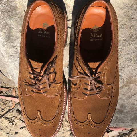 Alden Long Wing Blucher in C.F. Stead Snuff Janus Calf Suede