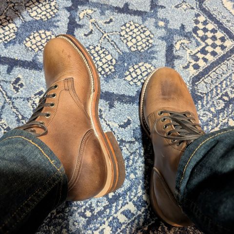 Oak Street Bootmakers Storm Boot in Horween Natural Chromexcel